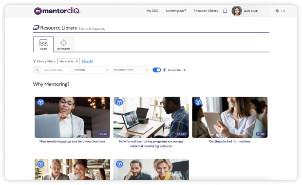 Accessibility 3 Accessibility and custom resources