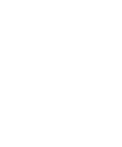 MentorCom SPOTLIGHT 2 MC Spotlight logo white