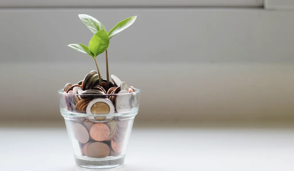What Are Long-Term Goals? Examples and Goal-Setting Ideas 10 Plant growing in money for financial long-term goal setting.